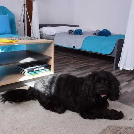 Gornicza W Kowarach Апартаменты Ковары