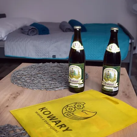 Gornicza W Kowarach Апартаменты Ковары