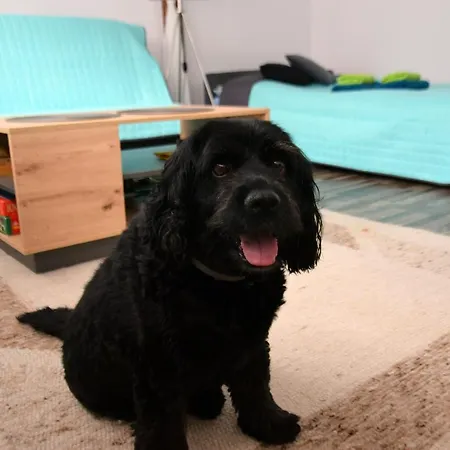 Gornicza W Kowarach Апартаменты *