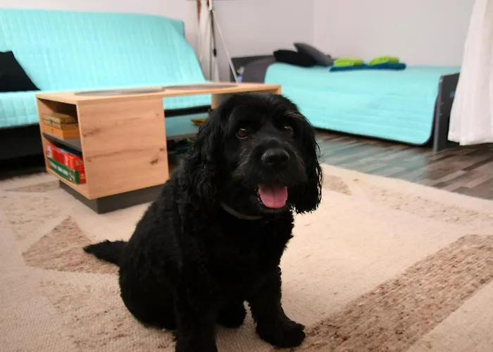 Gornicza W Kowarach Apartmán *